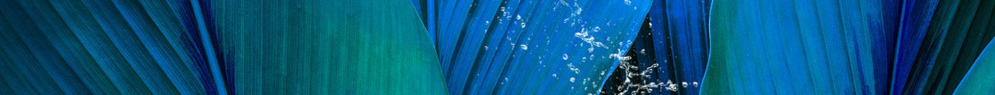 Shower Sliding Quadrant Doors Shower Sliding Quadrant Doors